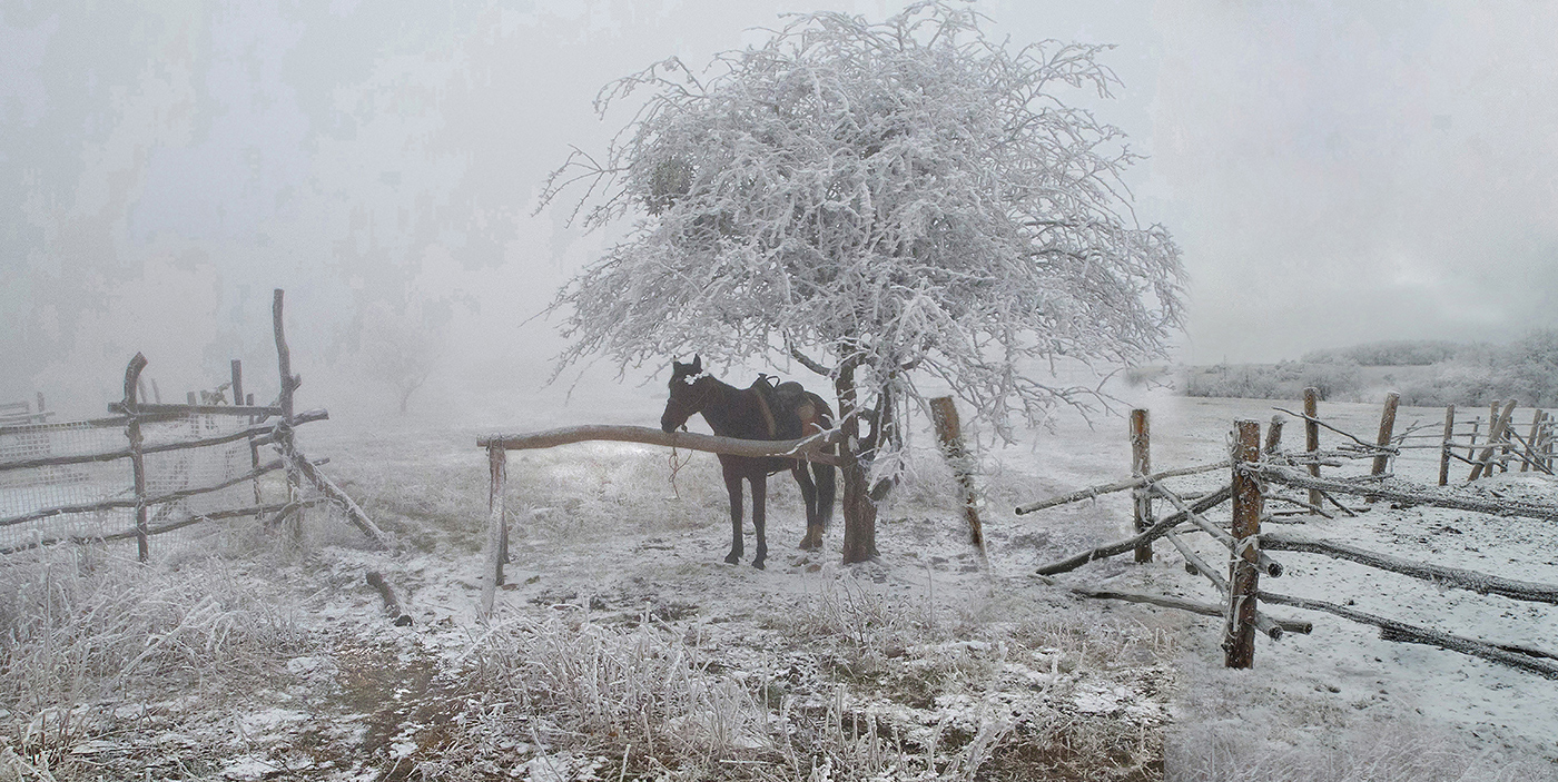 Такси на привязи.