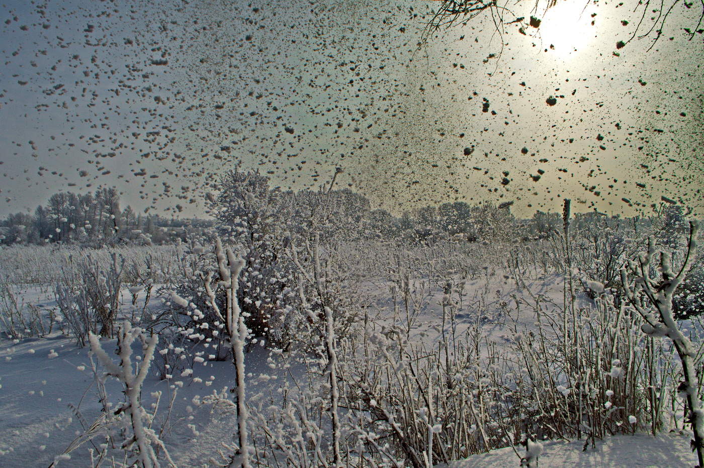 облетает иней