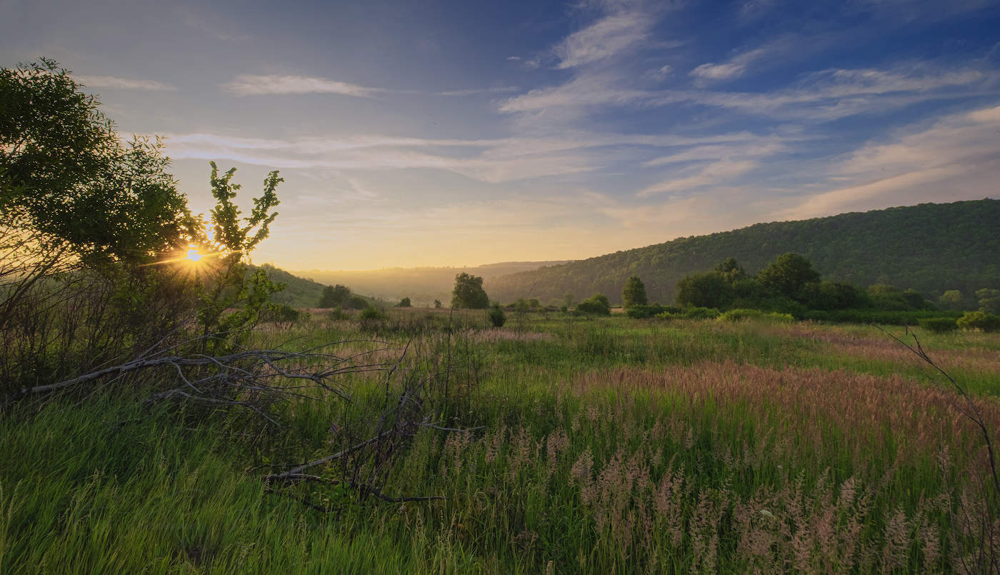 Утренний взгляд