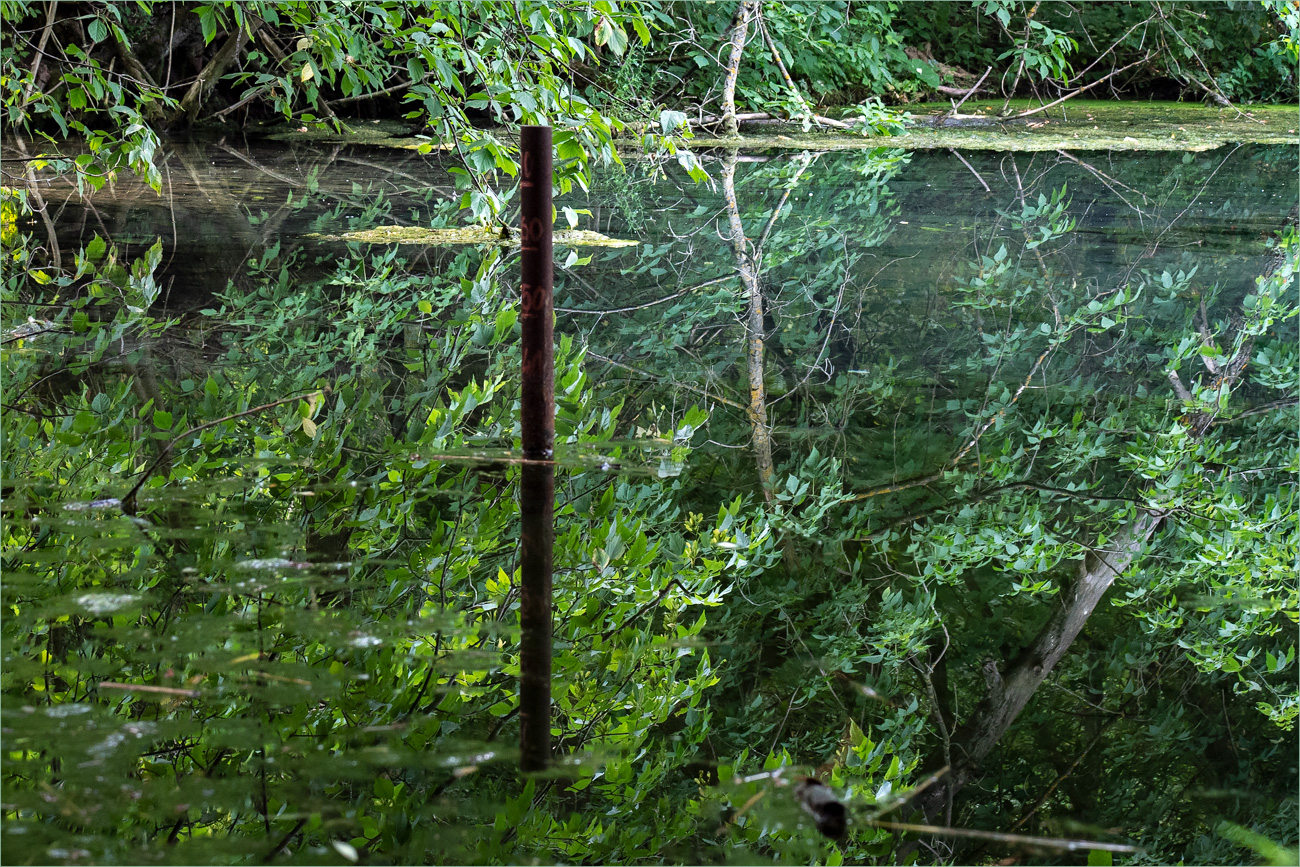 *глубина *мутности*