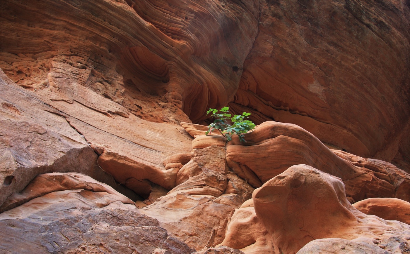 "Трудное детство..."