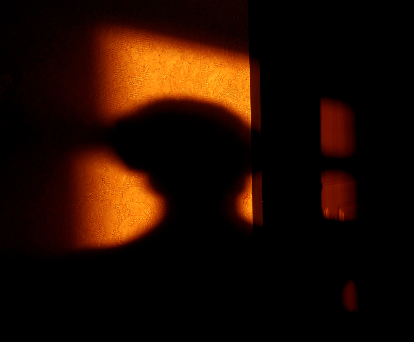 тени в моей комнате