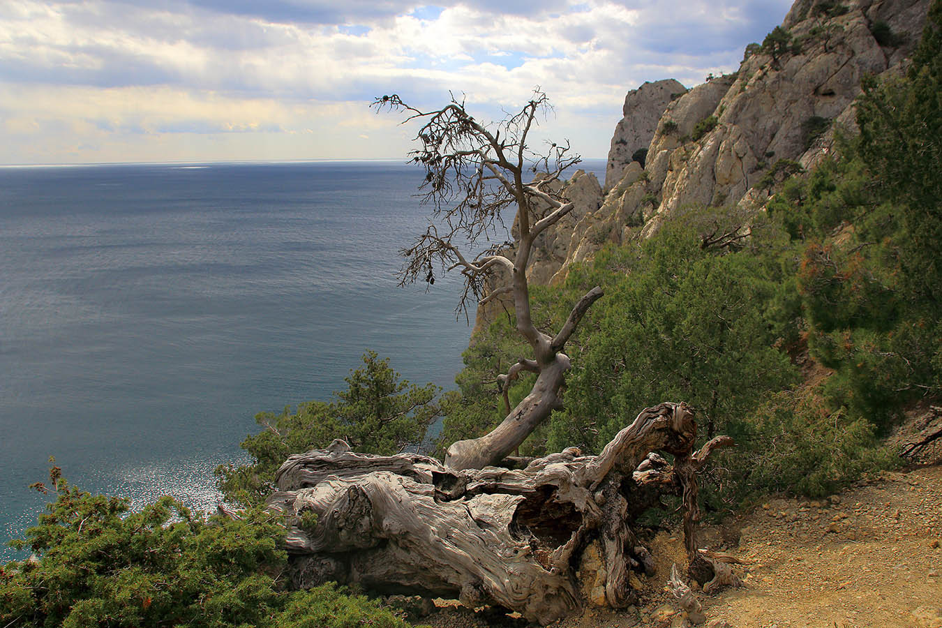 На мысе Чикен