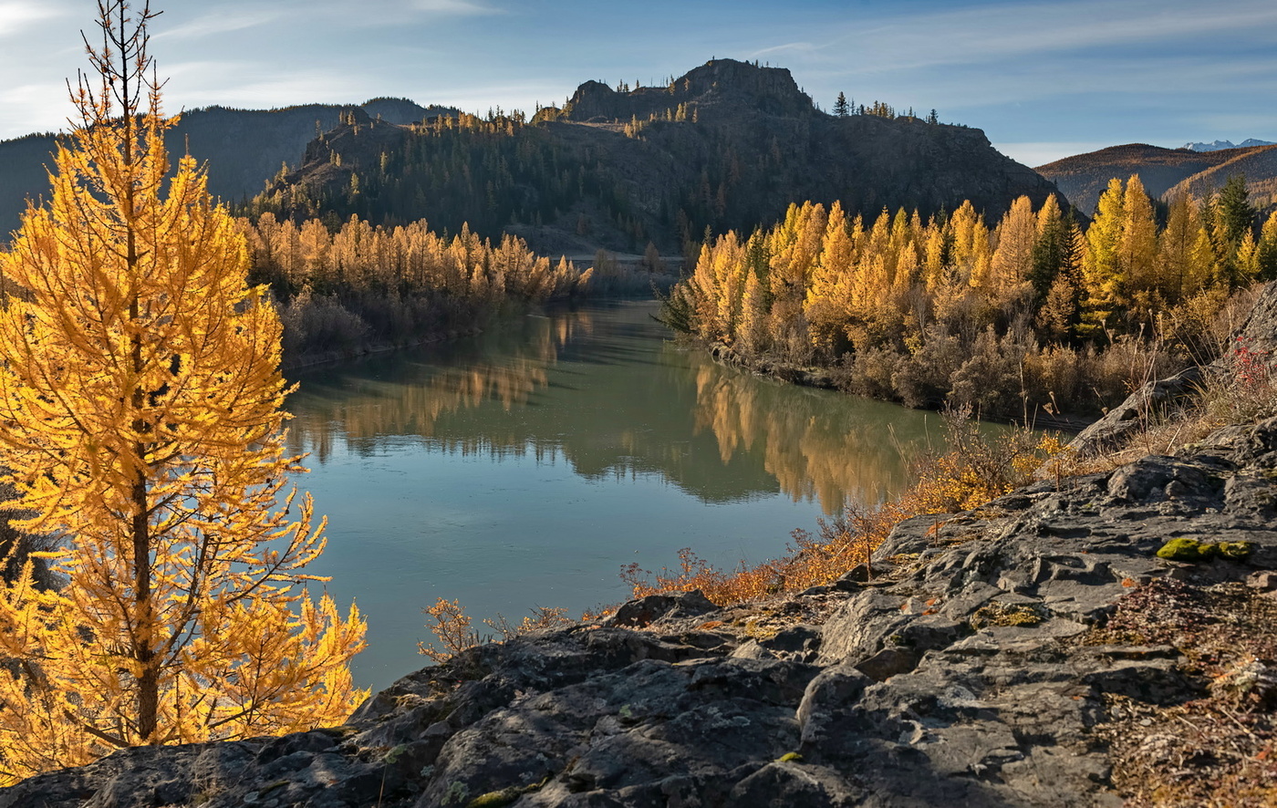 Осенняя Чуя в золотом обрамлении.