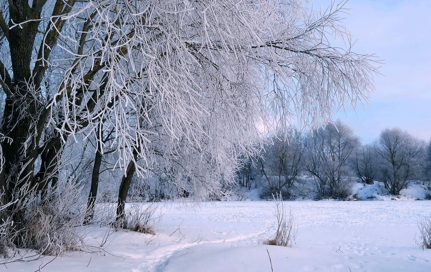 Морозный денёк