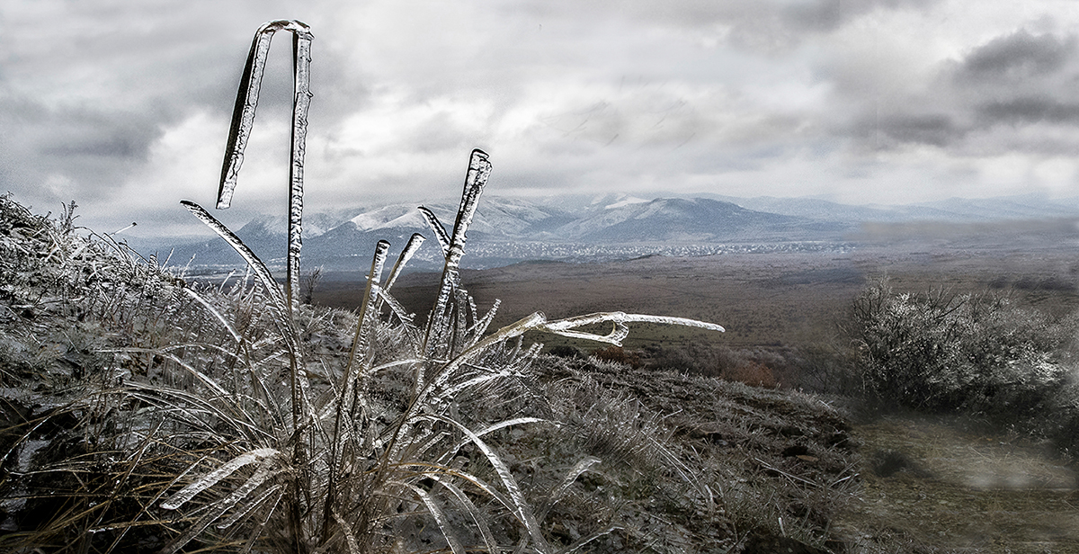 Хрустальная трава
