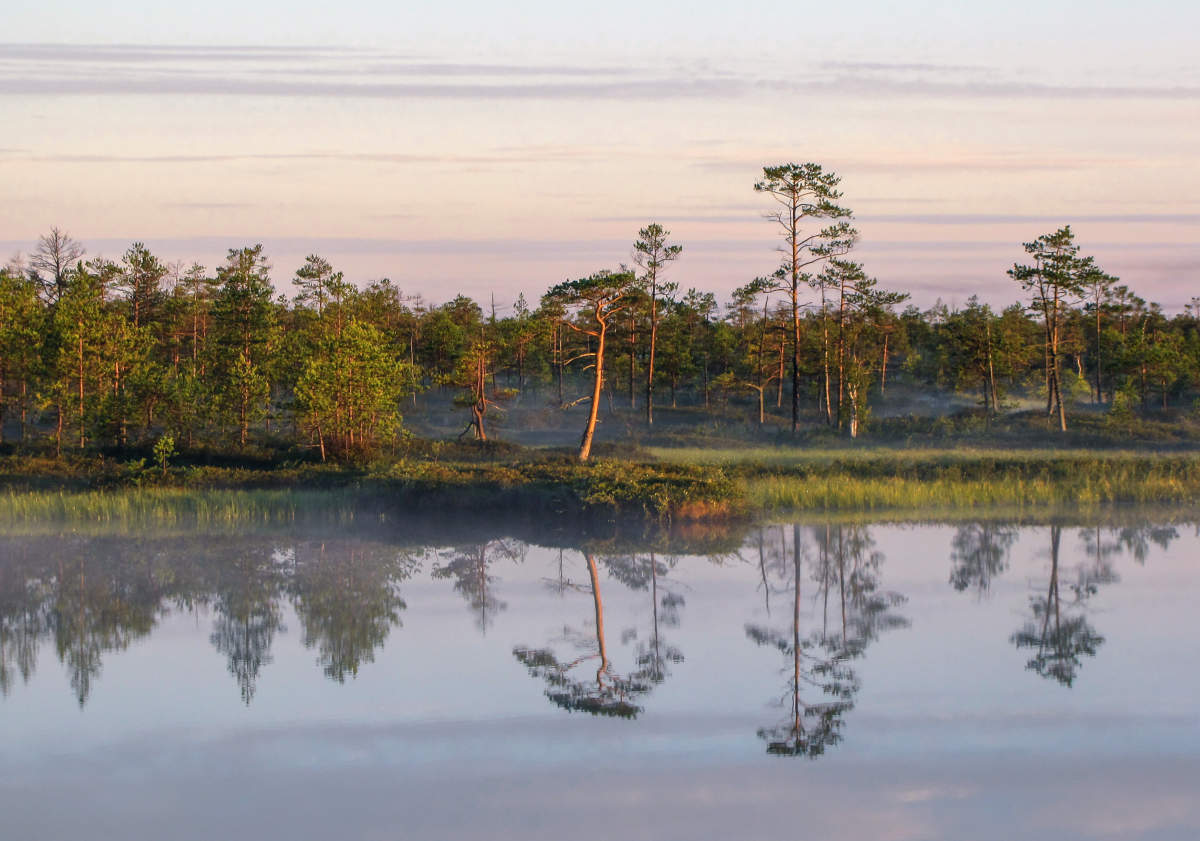 туман опускается низко, скользя по озёрной глади...