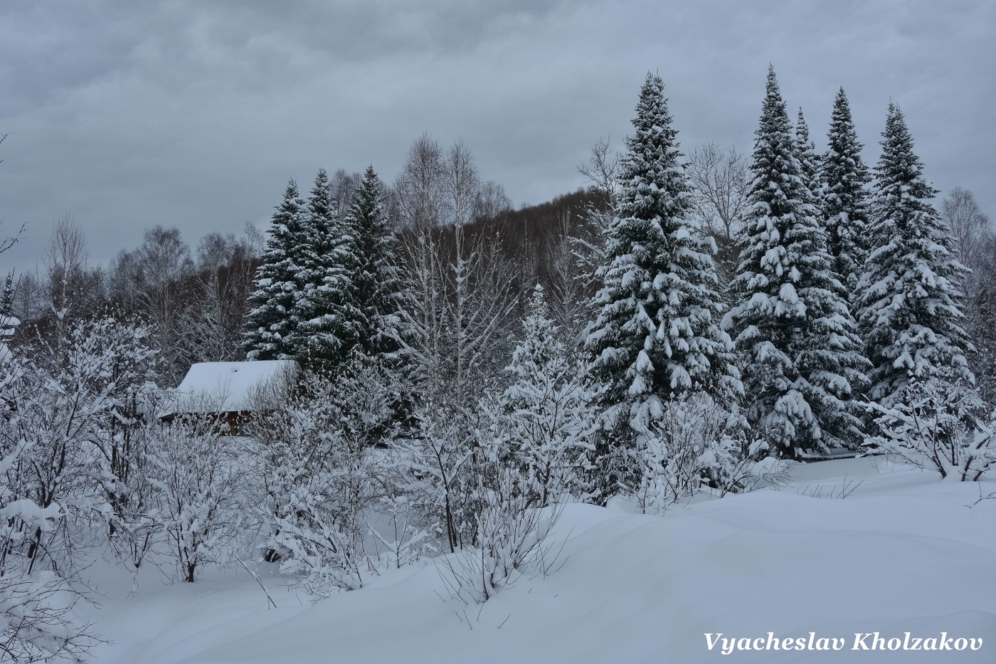 После снежных бурь