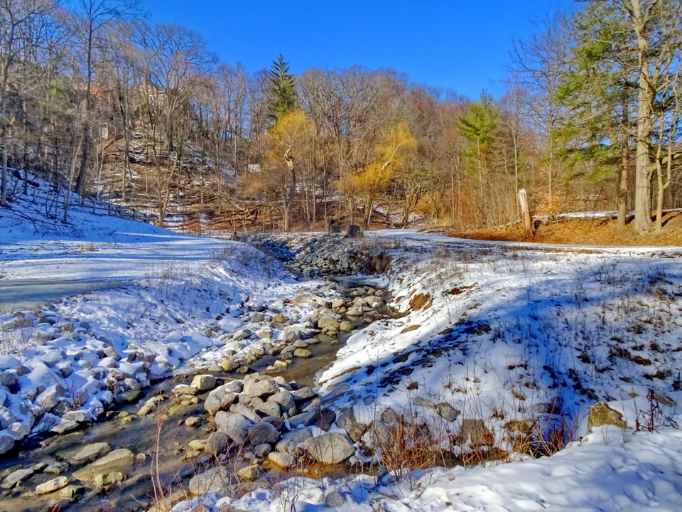 мороз и солнце