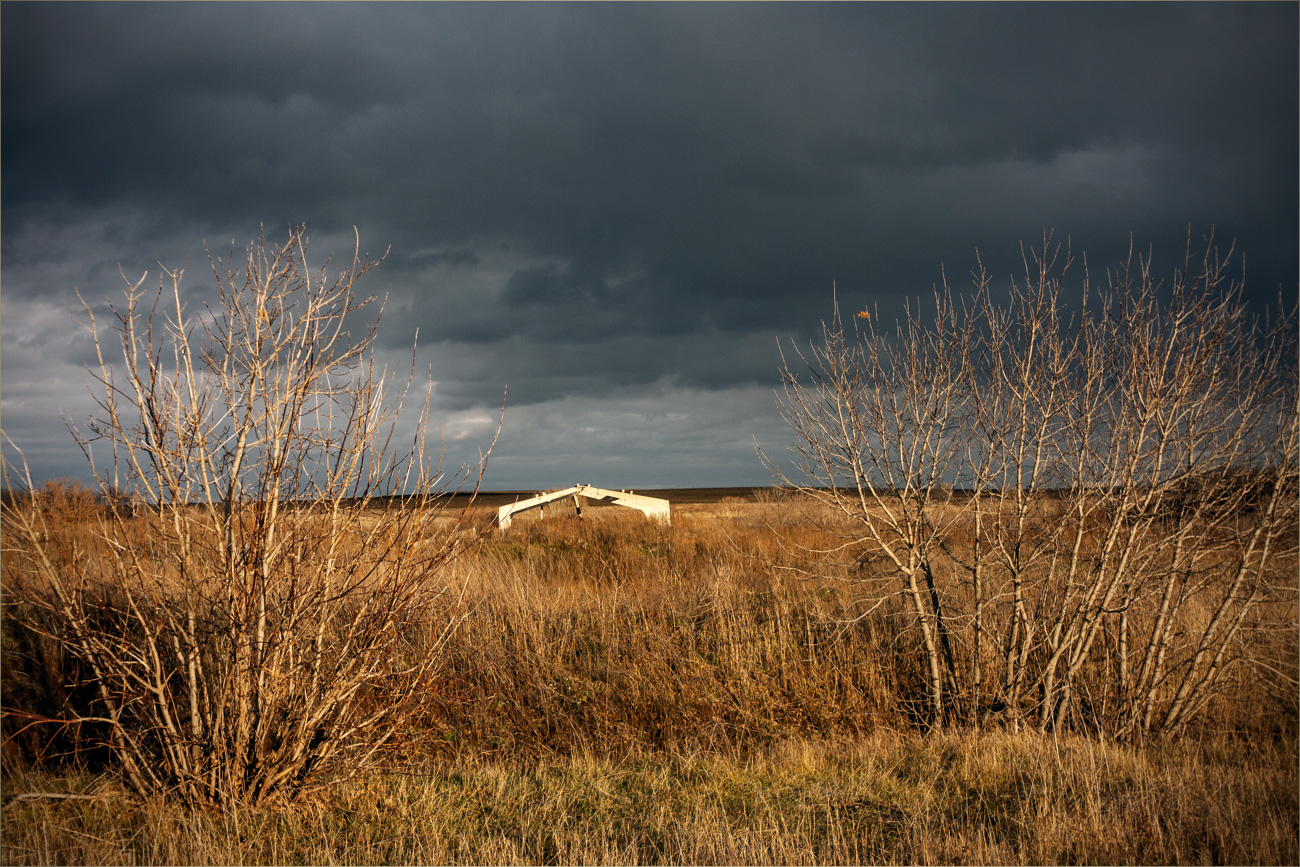 райские кущи