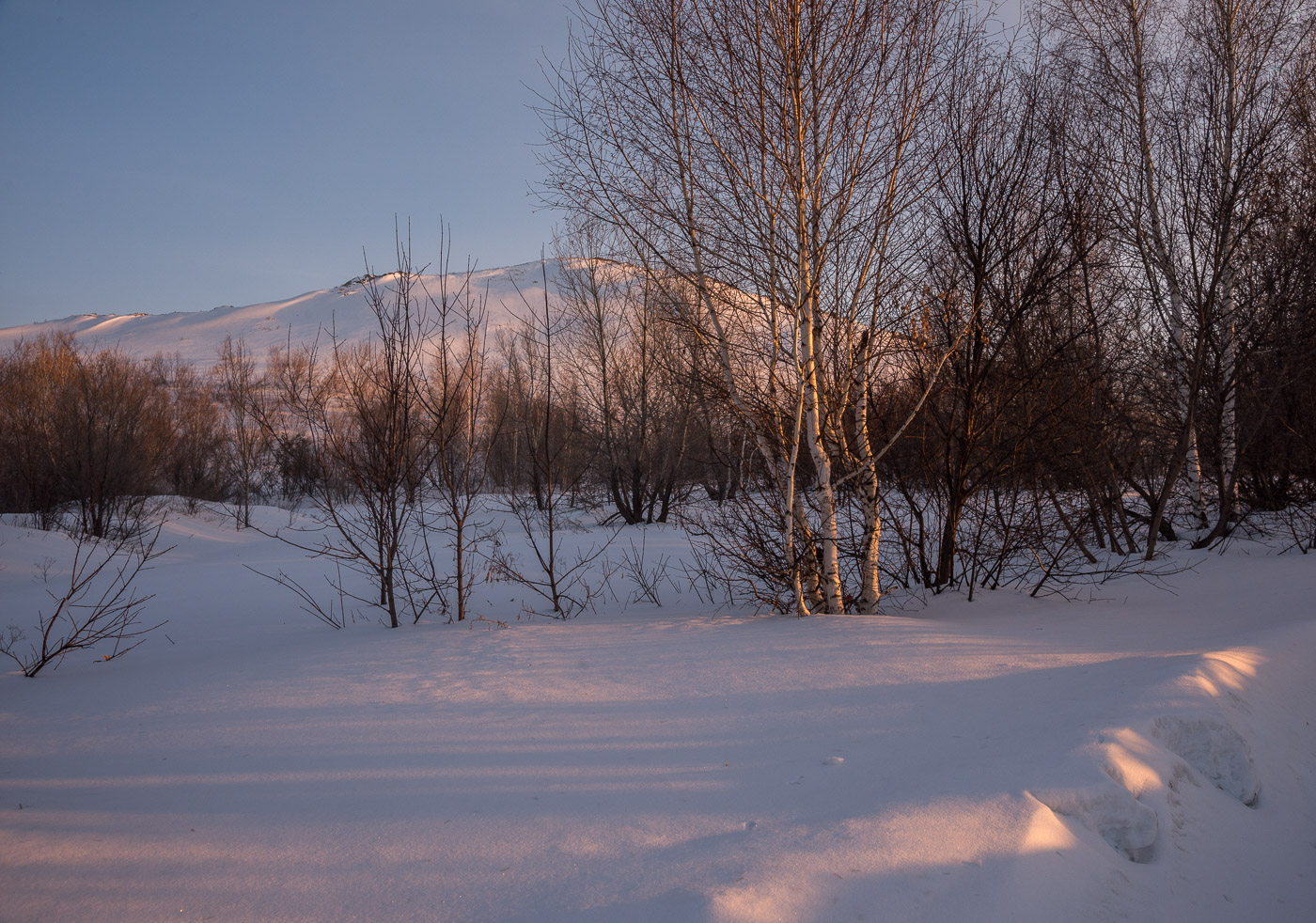 Вечерний свет