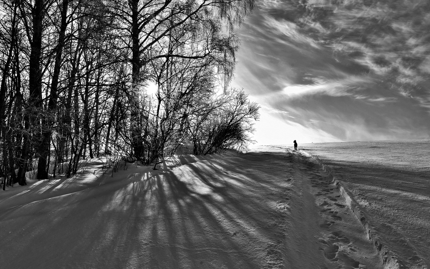 "Пейте из каждого мгновения жизни ..."