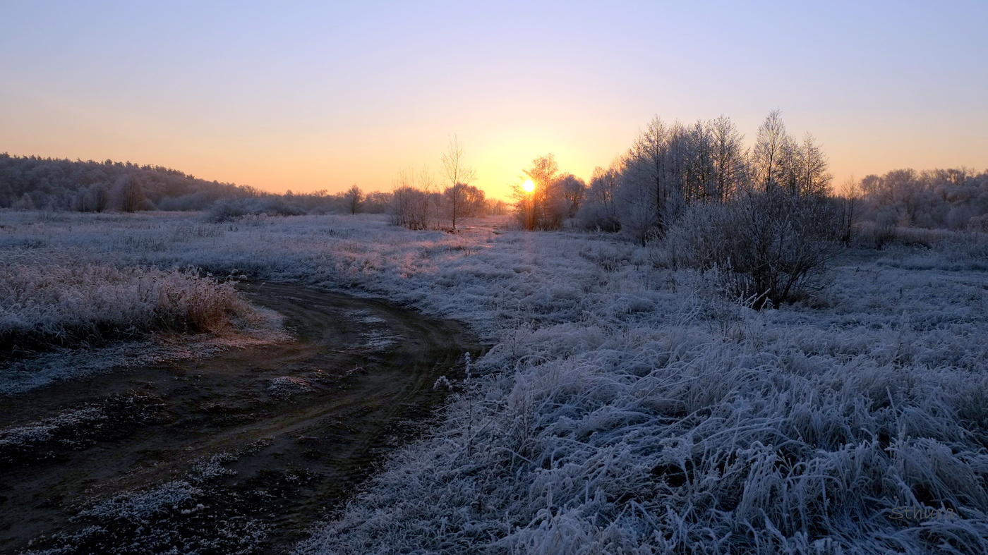 Рассвет в поле.