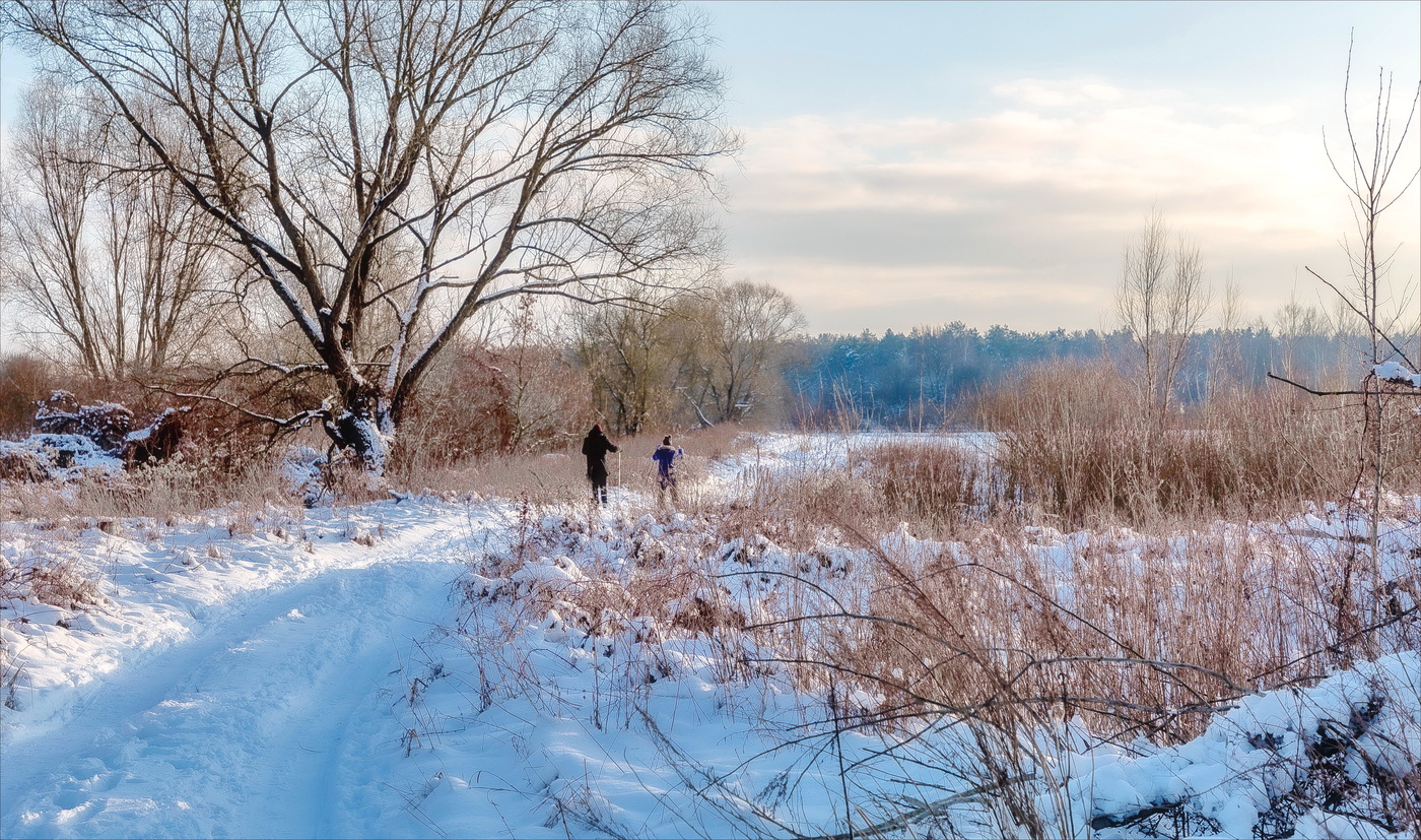 Лыжи,лес,прекрасная погода...