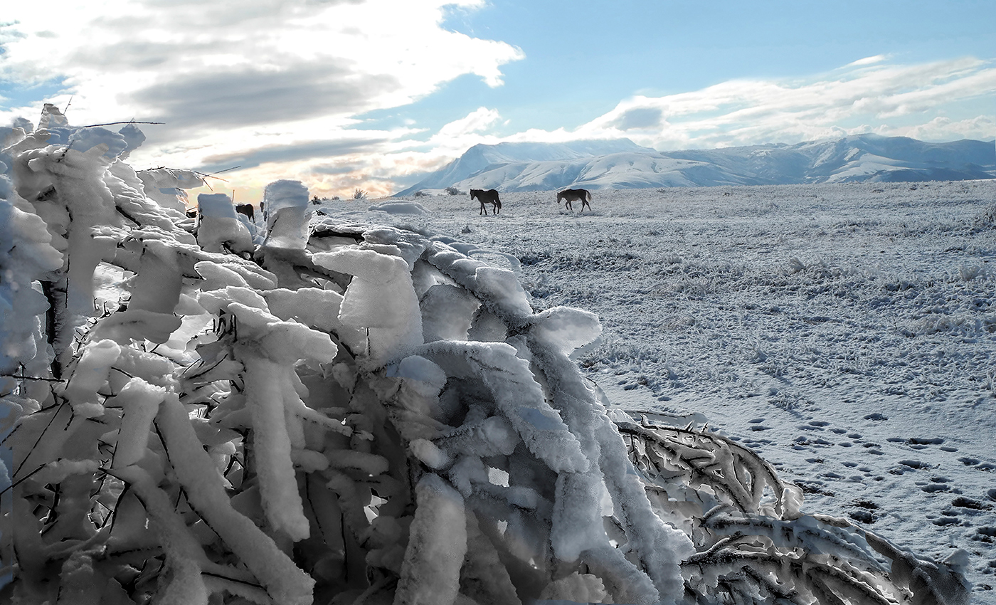 Творчество Метели.