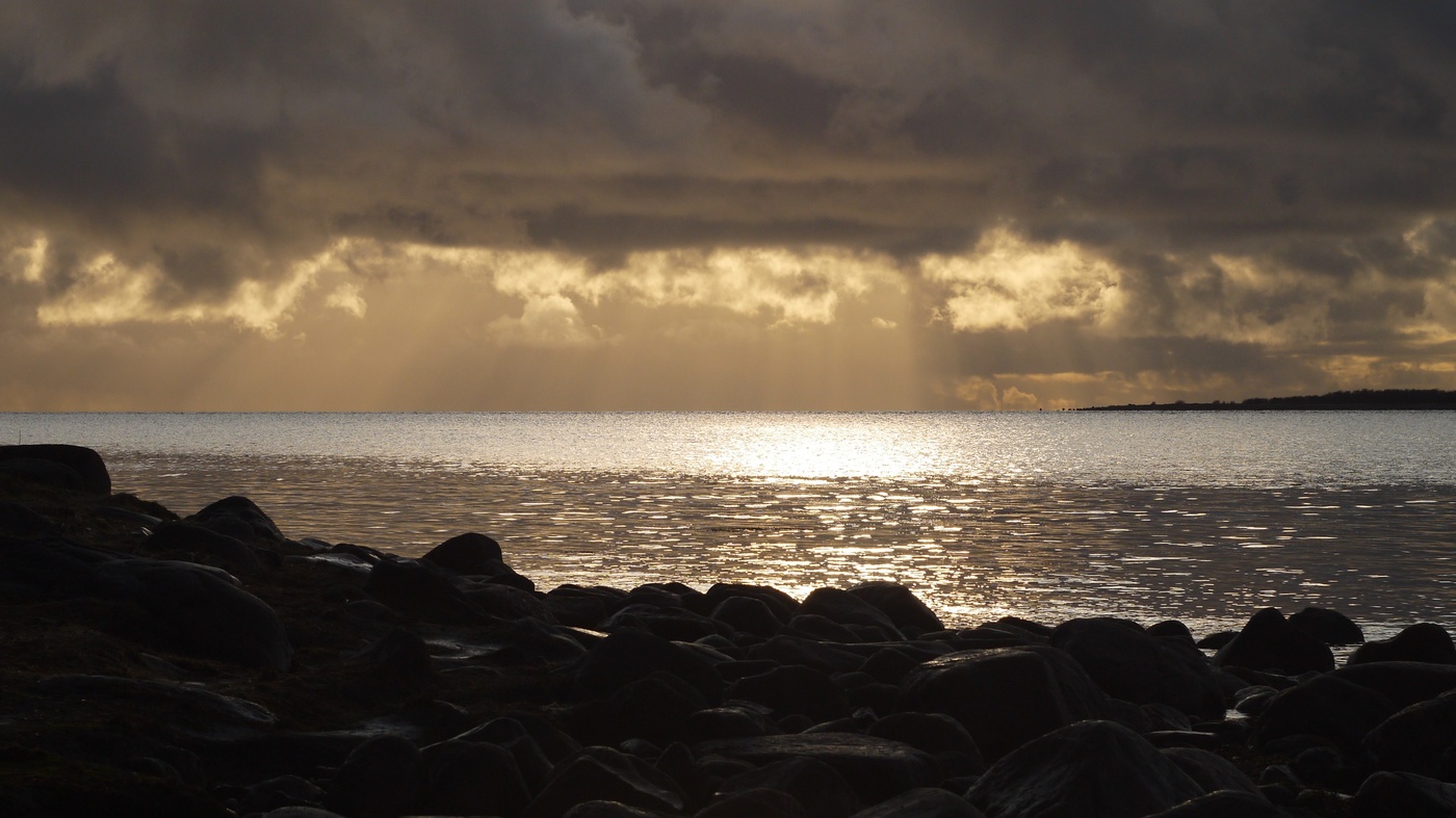 Краски Белого моря.