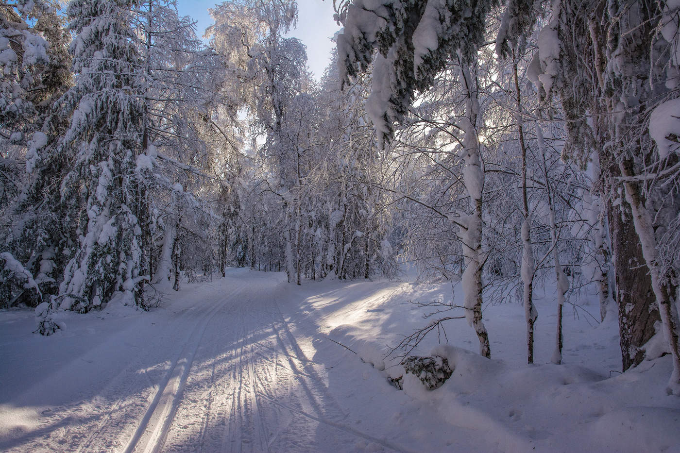 Зимний день