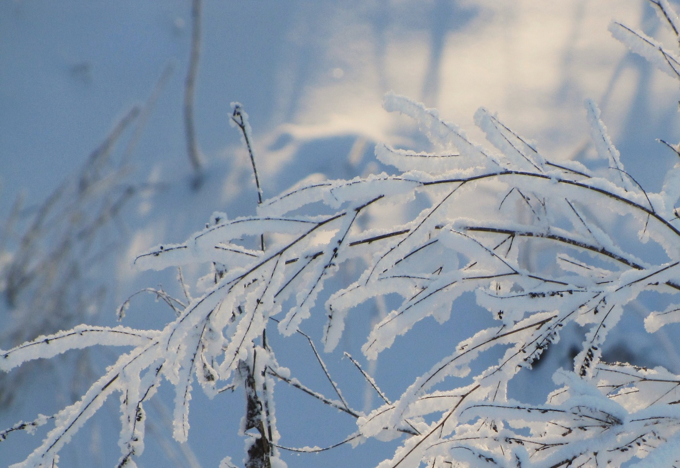 Зимний этюд.