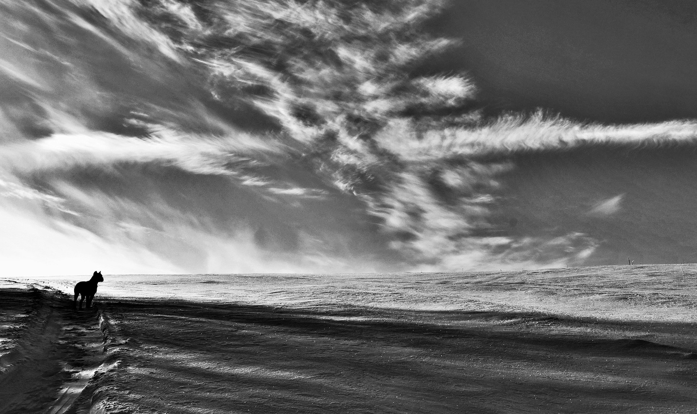 "И дни одной щекой к морозу идут, снижая облака..."