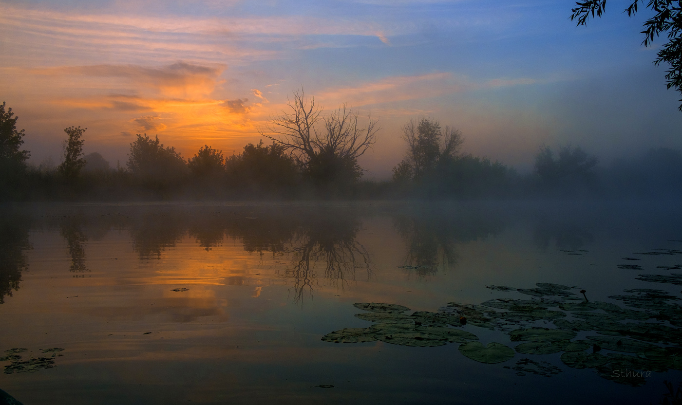 Студёное на рассвете.