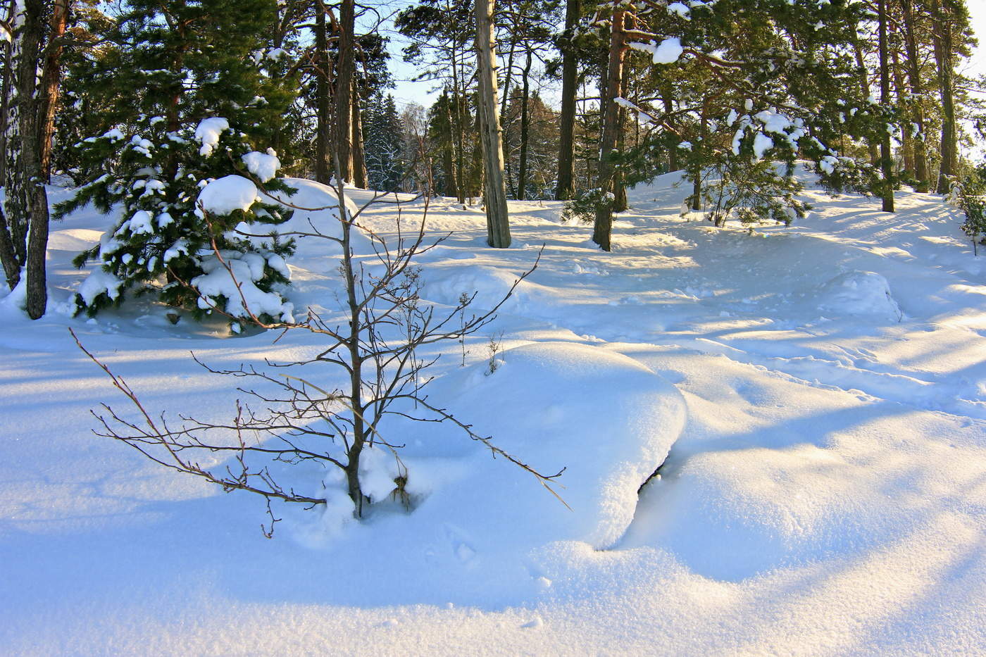 «Февраль. Достать чернил...»