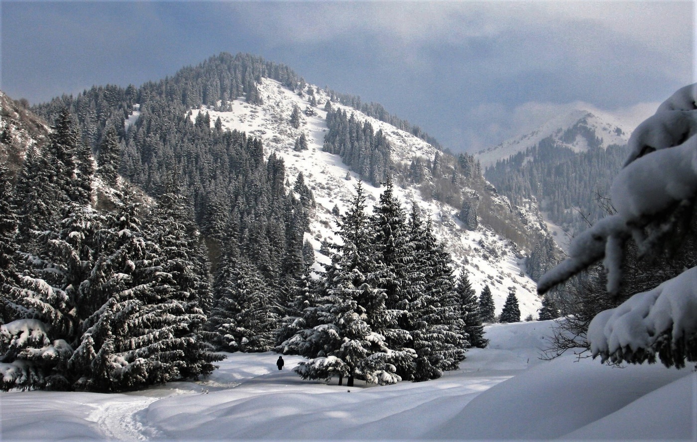 Прощание с зимой ...