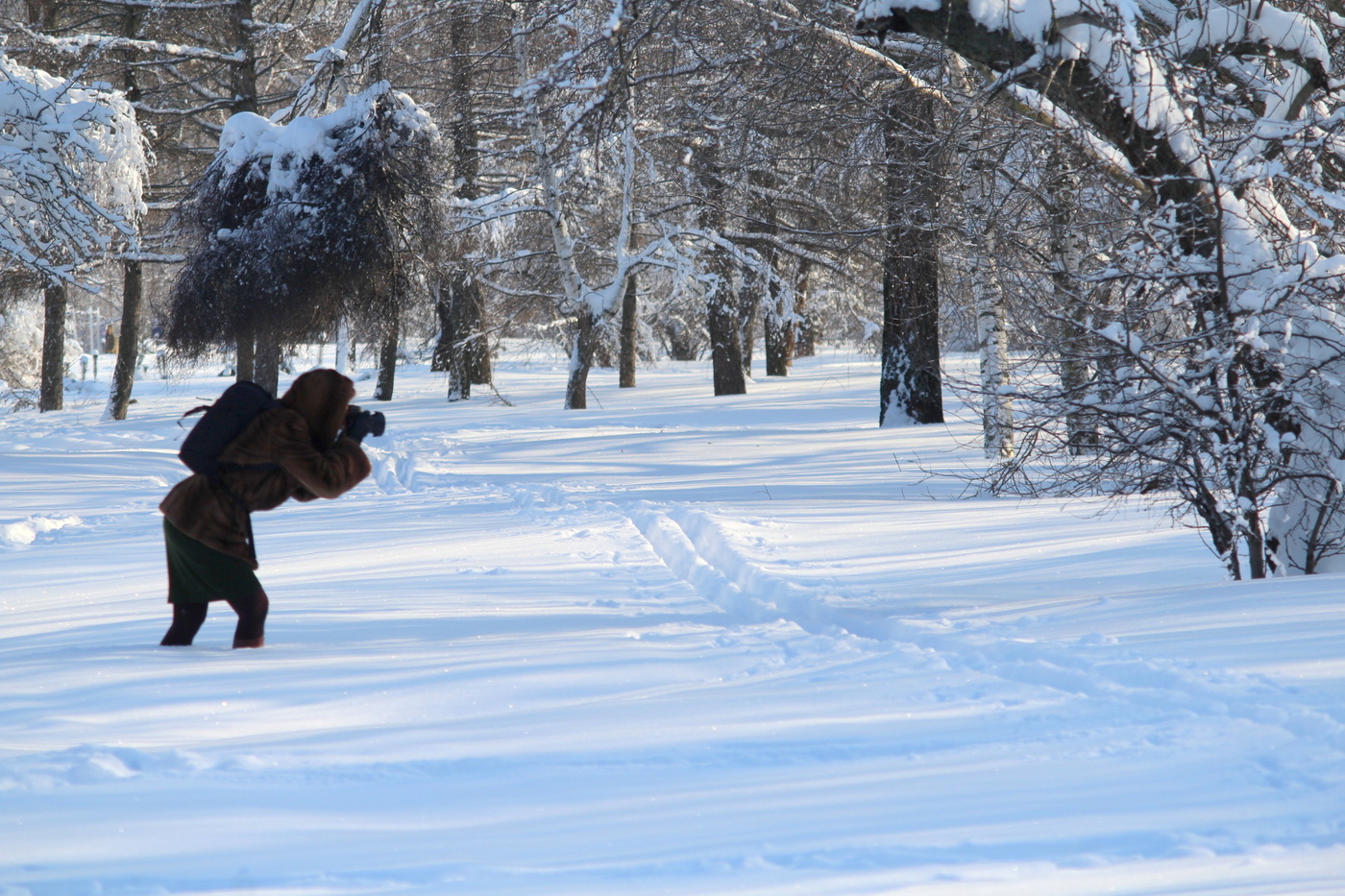 Удачный кадр!