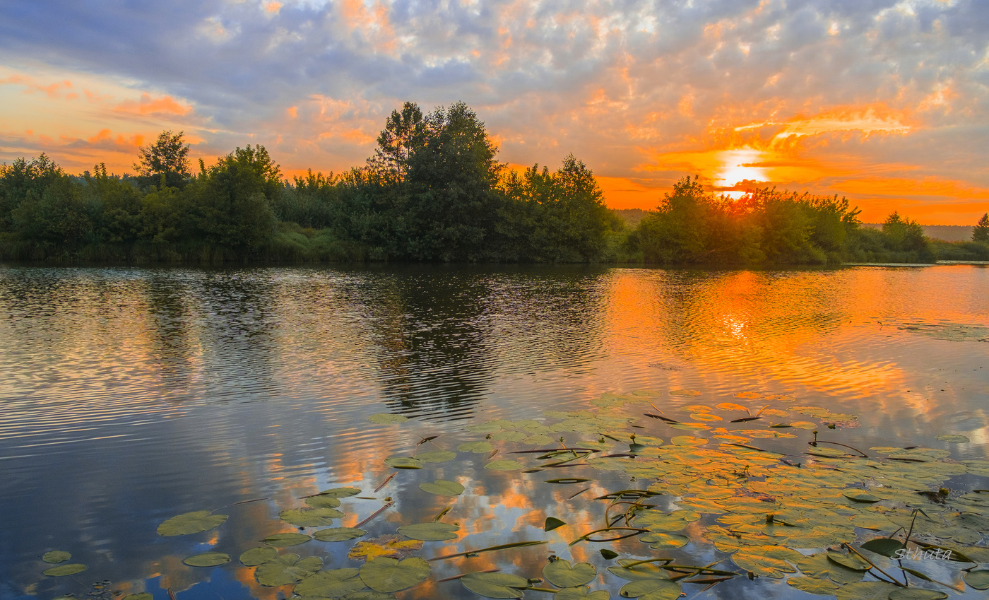 Летнее утро.