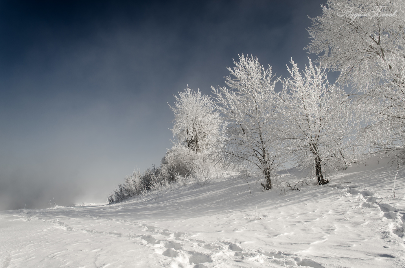 Белое безмолвие.
