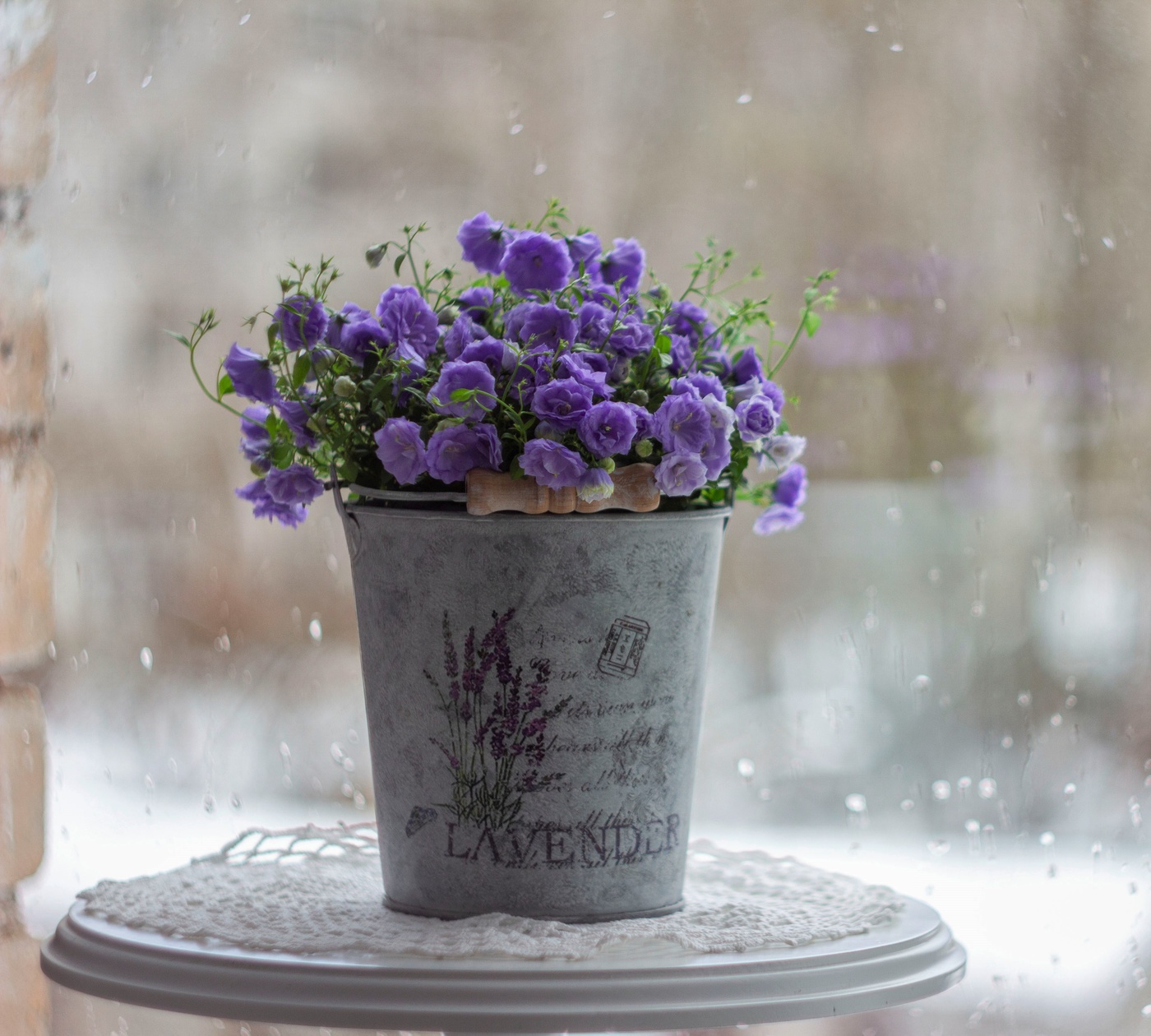 Зимний дождь