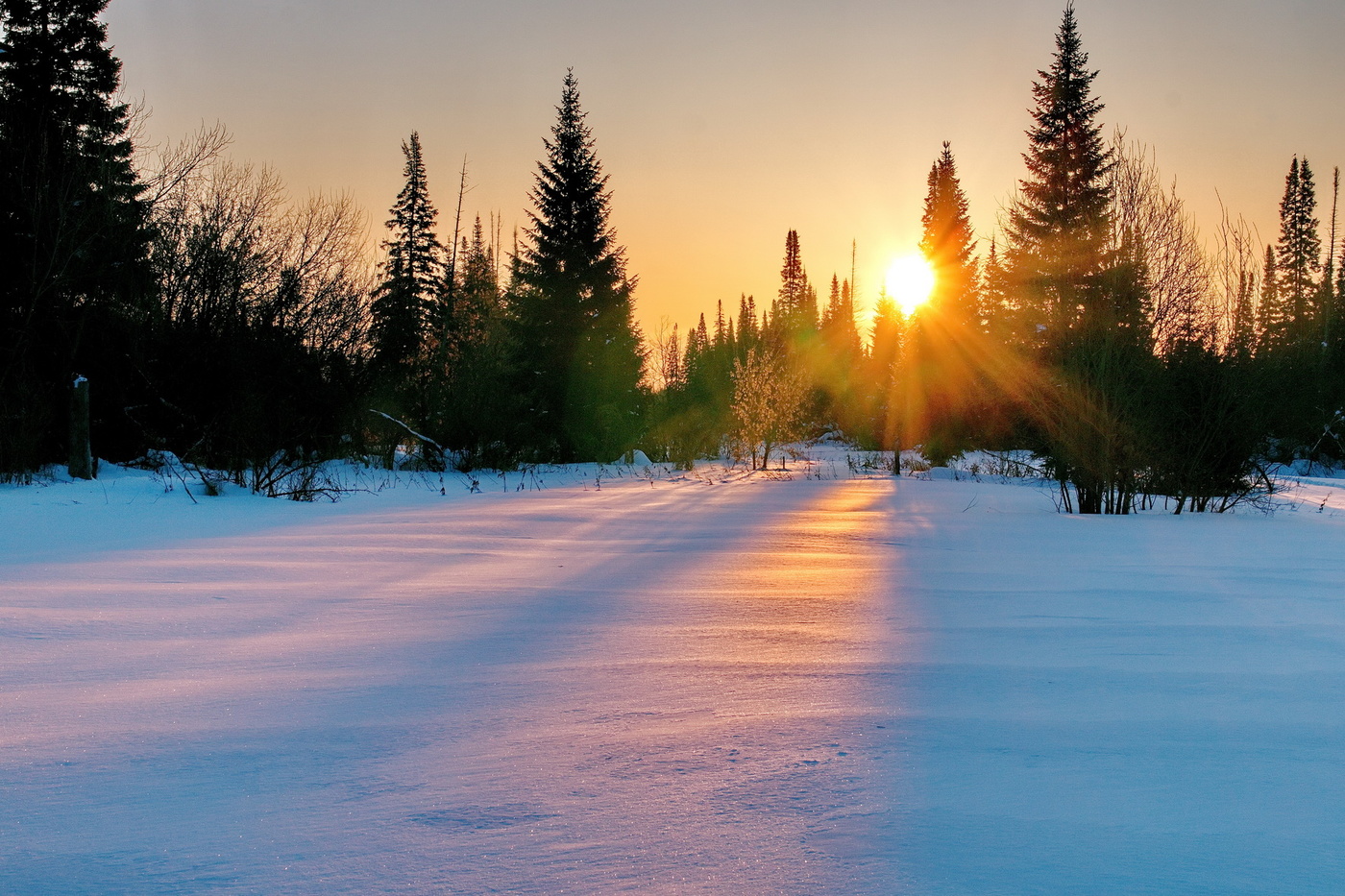 *Закат в лесу.**