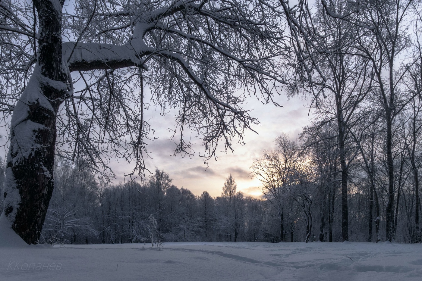 Зимний вечер