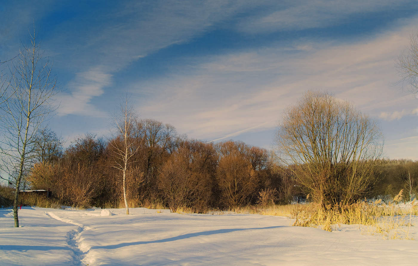 В ожидании весны