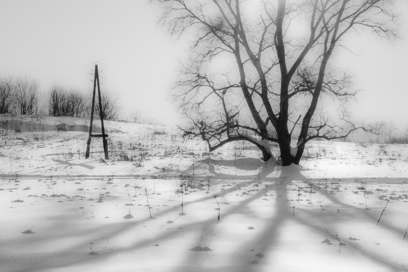 Зимняя зарисовка