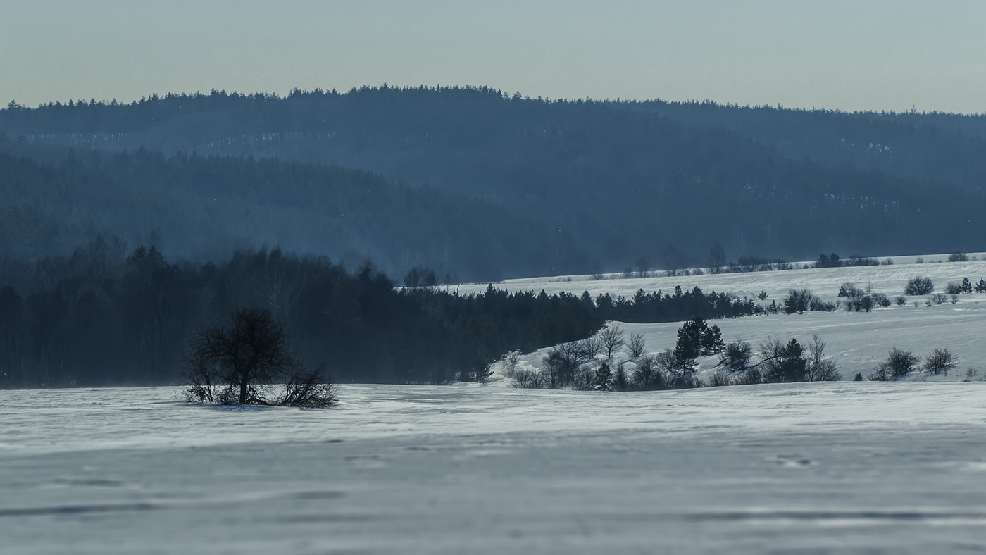 Накануне весны (28.02.2021)