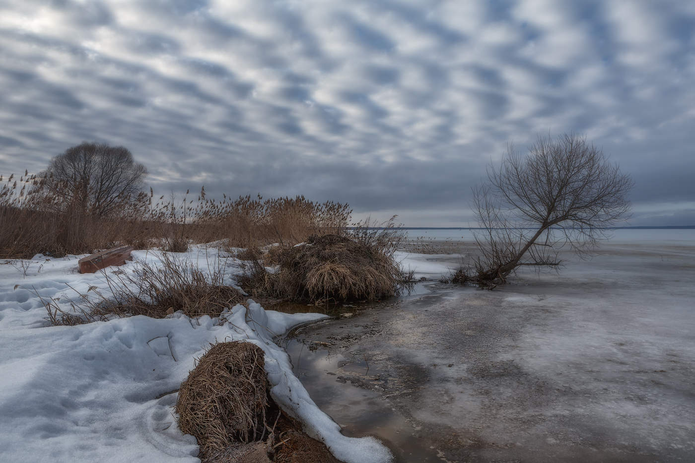 Перезимовали!