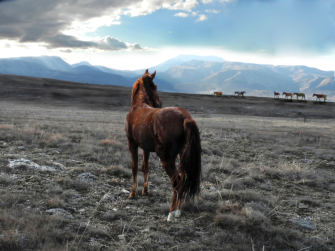 Немой вопрос.