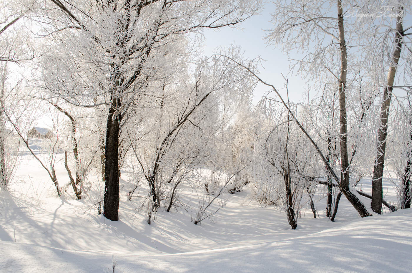 Нежное очарование!