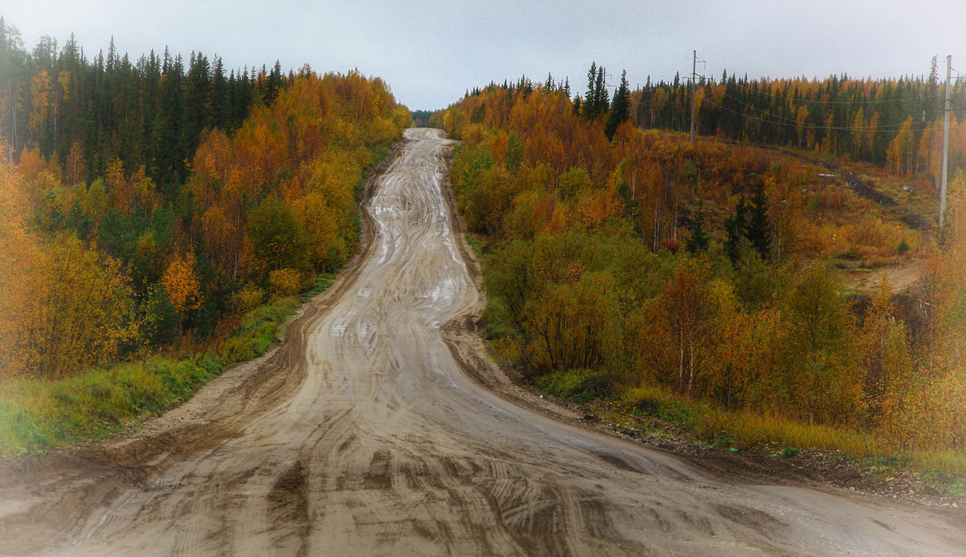 Дороги севера