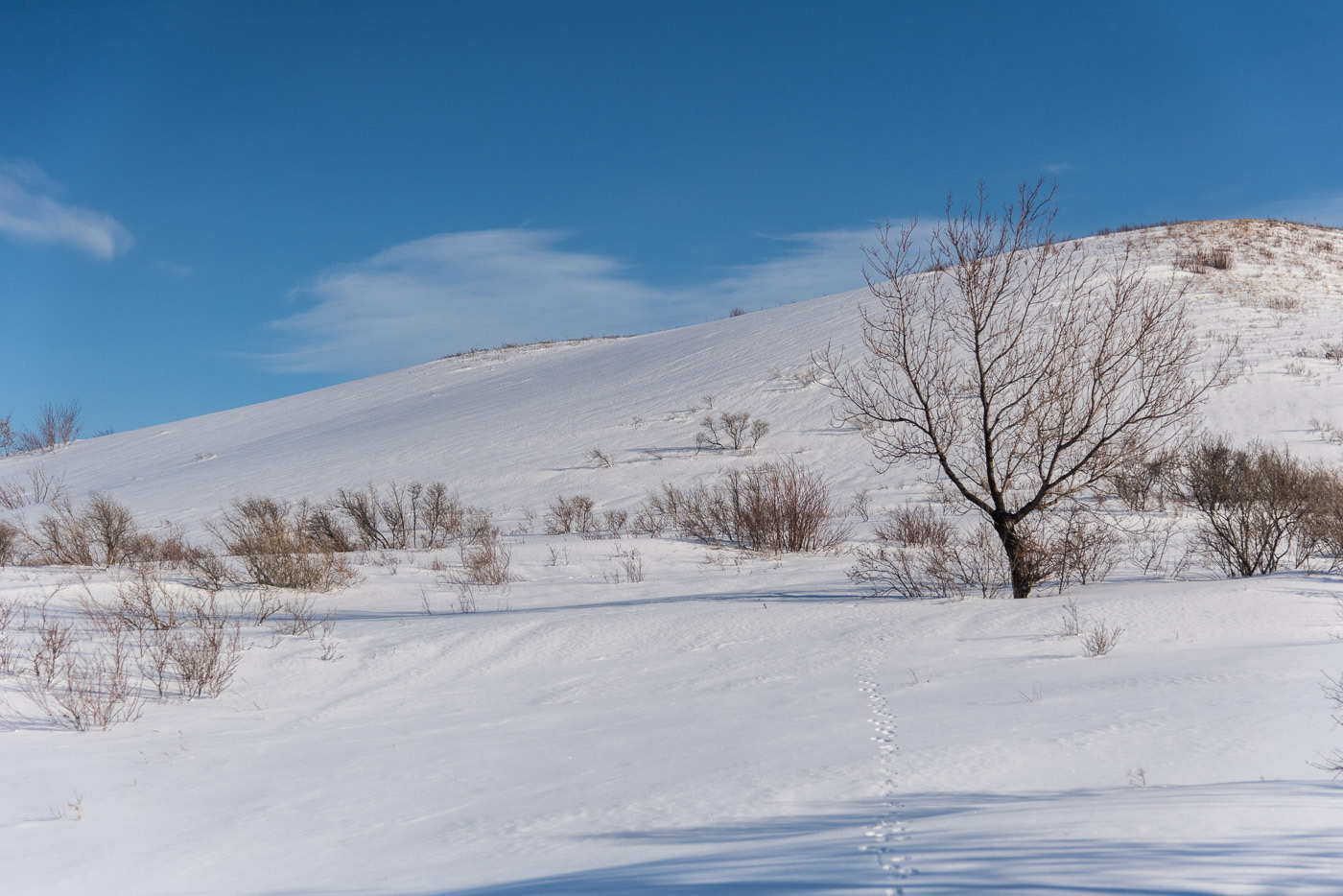 Зимний этюд