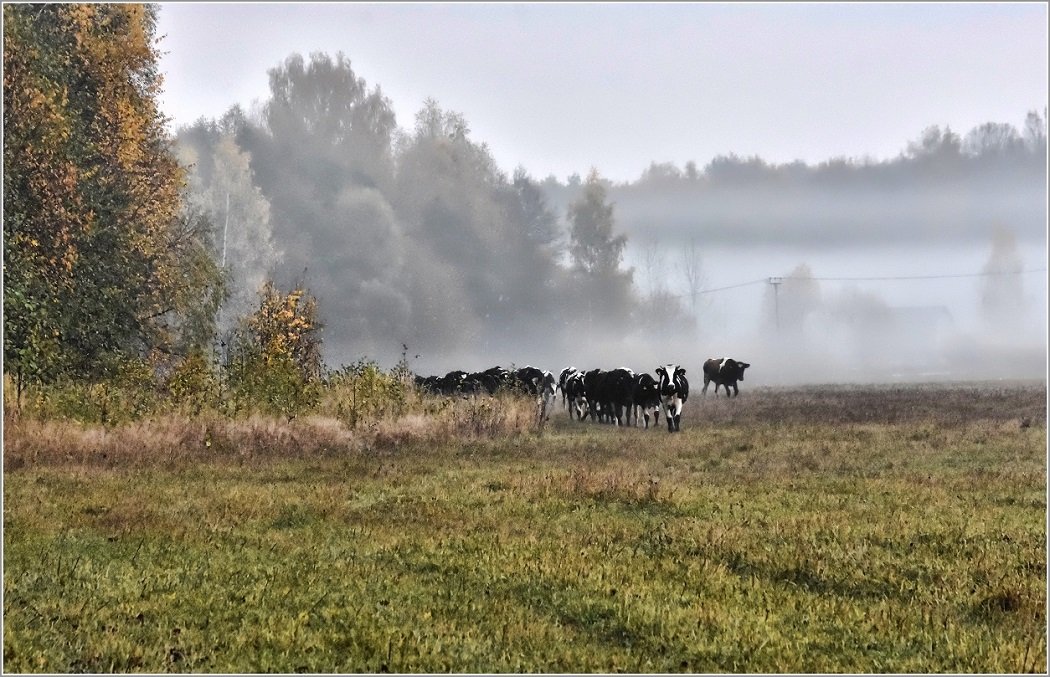 ...... Утро ......