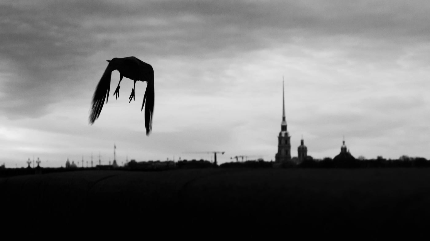 Птичнособорная