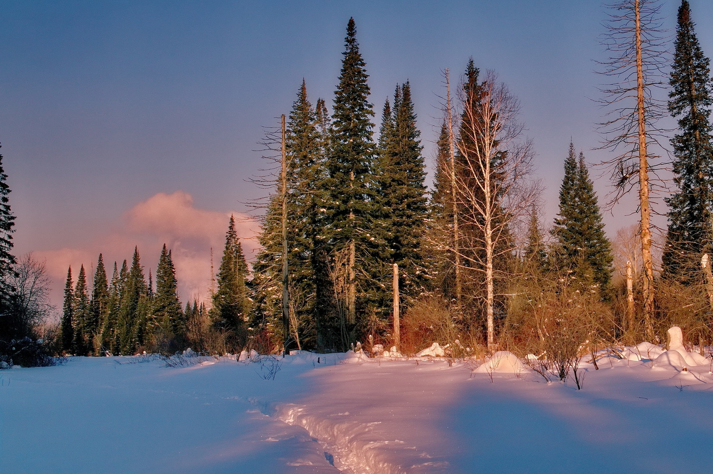 Зимний вечер.