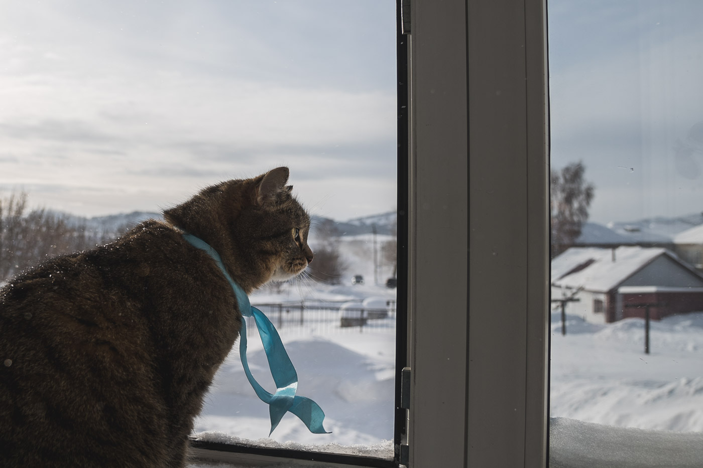 Где же весна?...