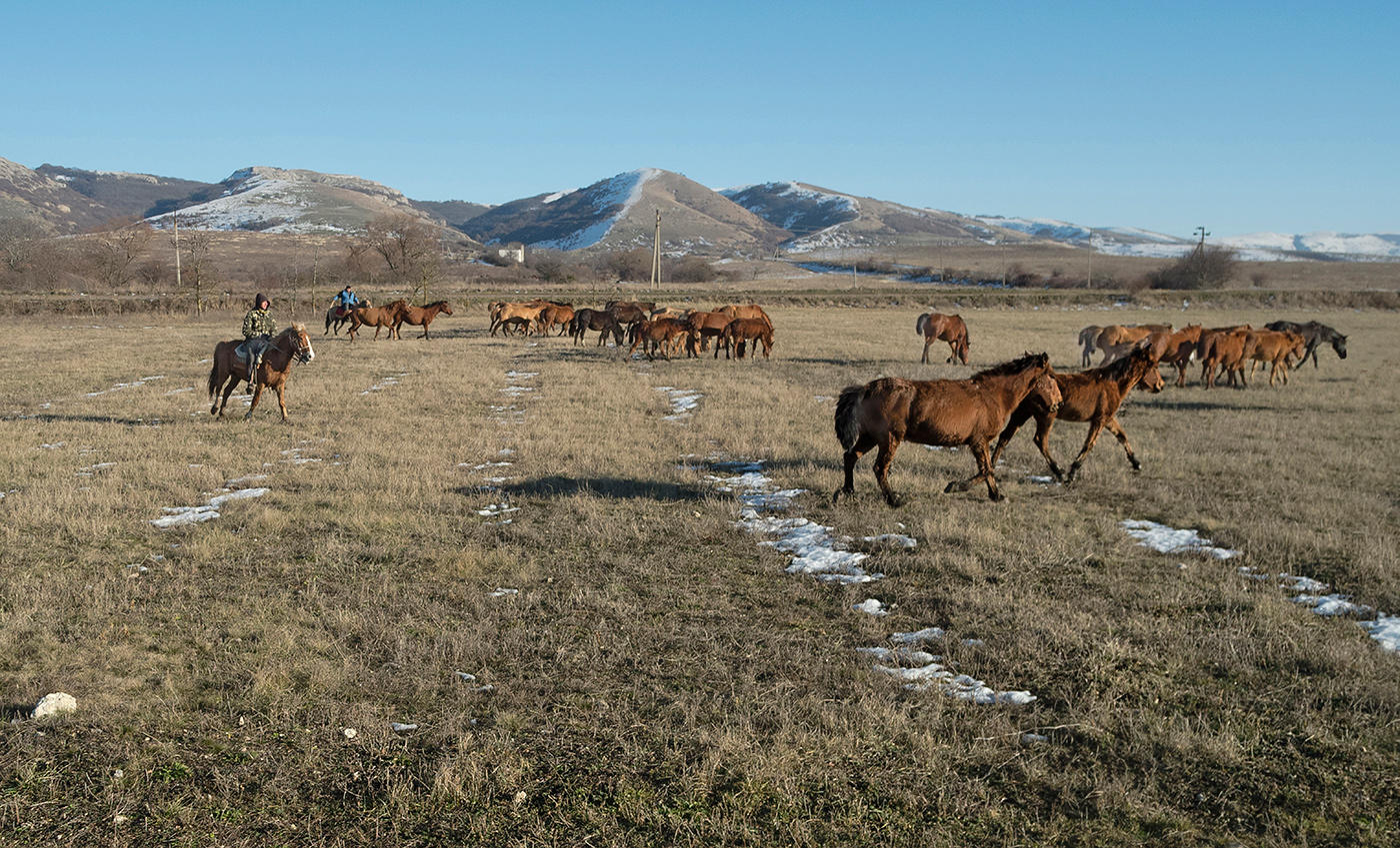 Мартовские окна.