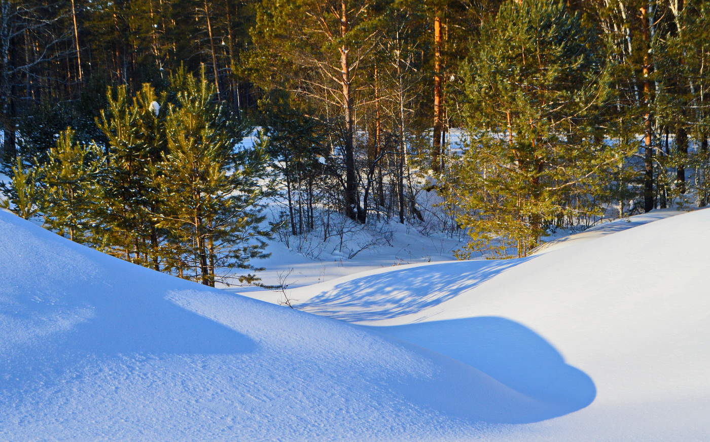 весенние тени