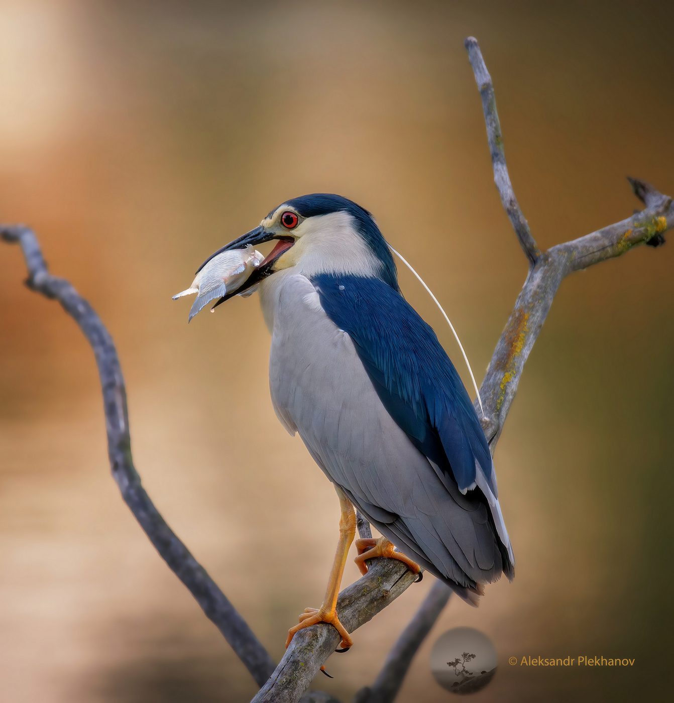 Доброй охоты