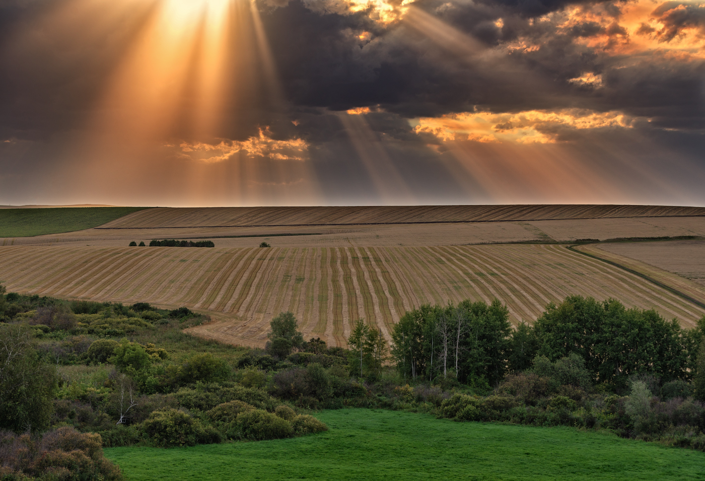 Солнечные узоры