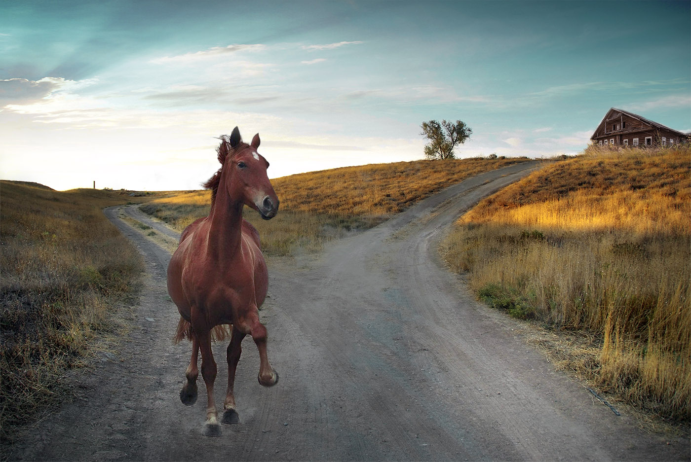 Откуда-куда