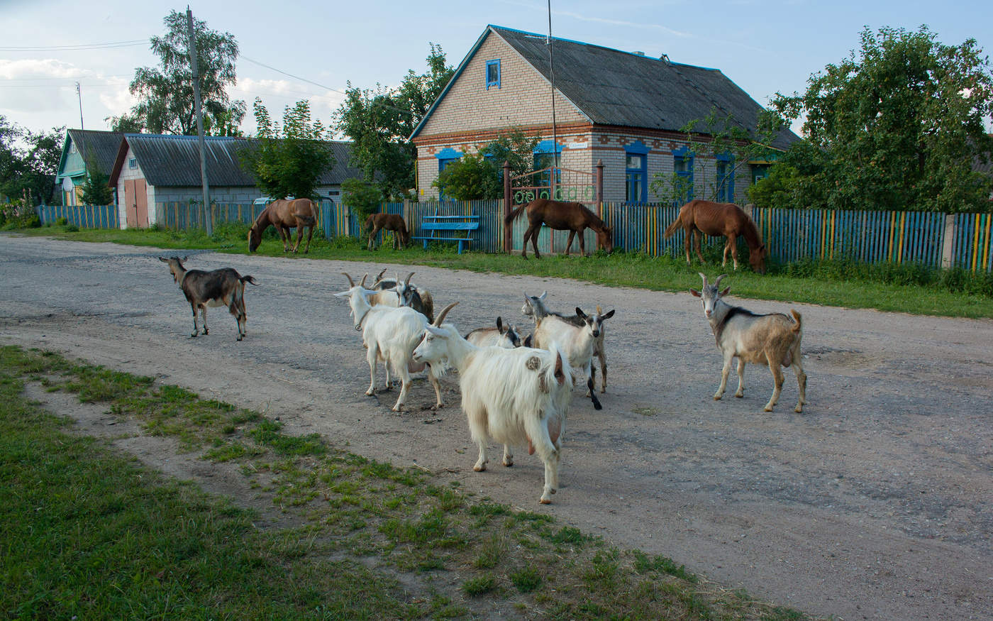 Вечер в деревне.